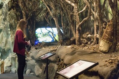 Experience our journey through the history of Western Southland.Museum exhibition